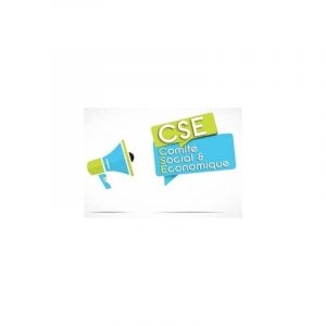 CSE / CHSCT RCE CONSEILS
